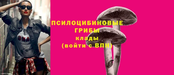 меф Инсар