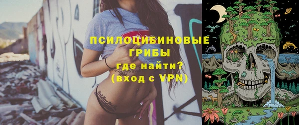 прущая мука Инта