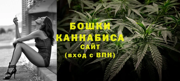 прущая мука Инта