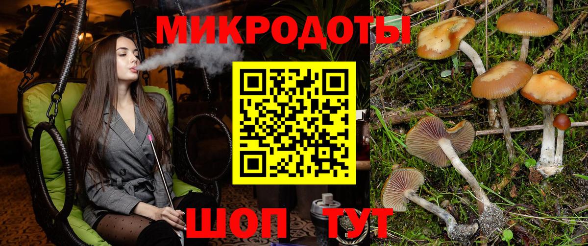 Псилоцибиновые грибы мицелий  Псилоцибиновые грибы прущие грибы  Ступино  Вход с VPN 