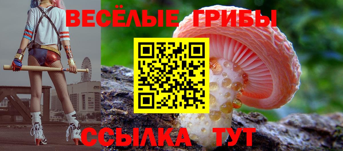 Галлюциногенные грибы мицелий Ступино